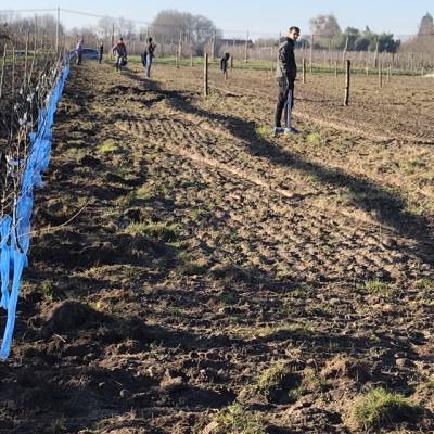 le premier rang de pommiers 2019